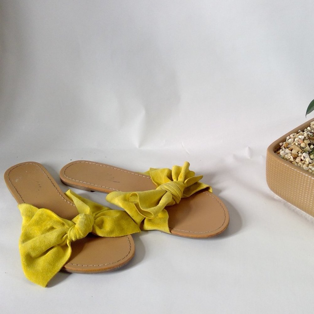 Yellow Slipper